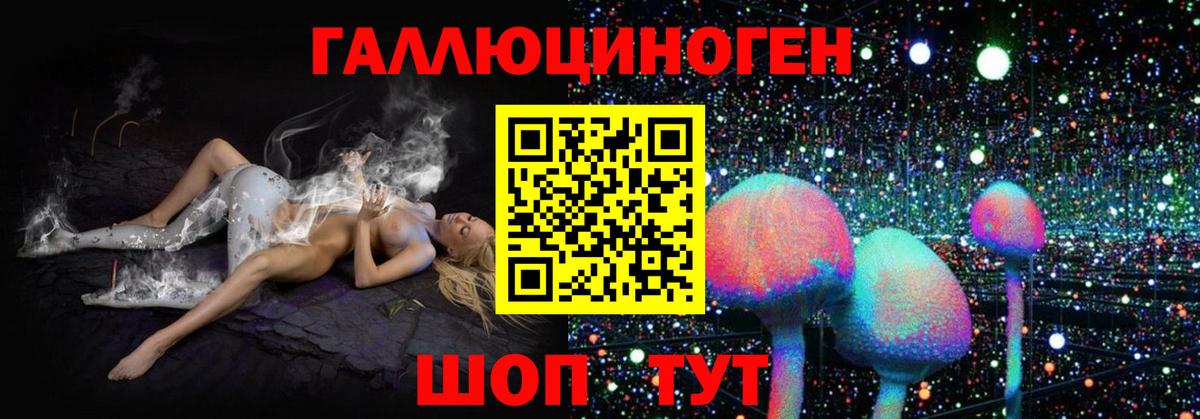 Псилоцибиновые грибы Psilocybine cubensis  где купить   Вход с VPN  Мирный  Псилоцибиновые грибы мухоморы 